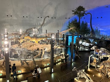福井県立恐竜博物館に投稿された画像（2025/6/24）