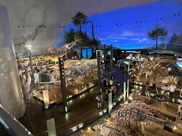 福井県立恐竜博物館に投稿された画像（2025/6/24）