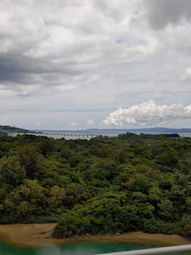 ジャンボツアーズに投稿された画像（2025/6/24）