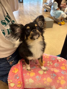 いぬカフェRio イオンモール福岡店に投稿された画像（2025/6/24）