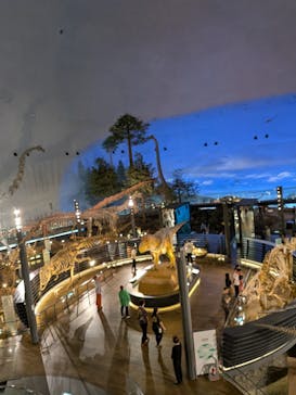 福井県立恐竜博物館に投稿された画像（2025/6/24）