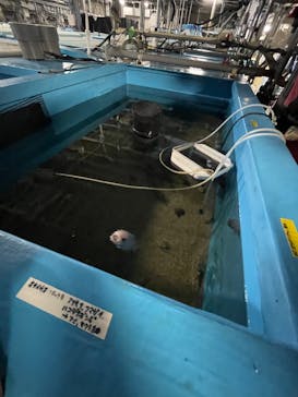 アクアマリンふくしまに投稿された画像（2025/6/24）