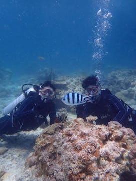 初心者専門店NEOMARINE石垣島に投稿された画像（2025/6/24）