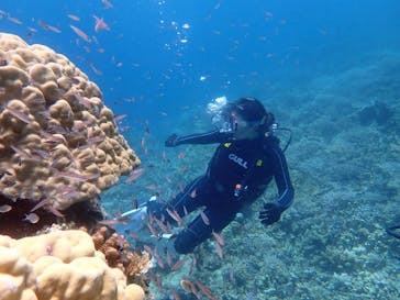 初心者専門店NEOMARINE石垣島に投稿された画像（2025/6/24）