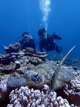 初心者専門店NEOMARINE石垣島に投稿された画像（2025/6/24）