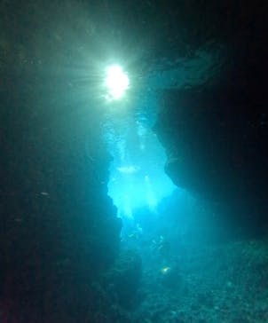 武藤潜水に投稿された画像（2025/6/25）