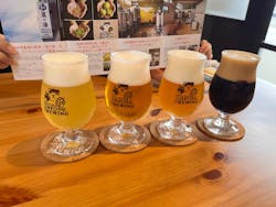 ホップドッグブルーイング醸造所に投稿された画像（2025/6/25）