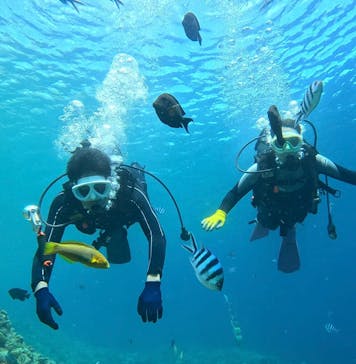 青の洞窟専門店　沖縄ダイビングショップ和に投稿された画像（2025/6/25）