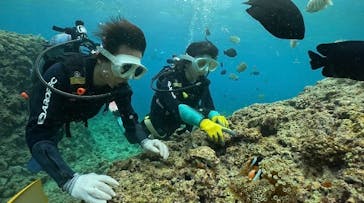 武藤潜水に投稿された画像（2025/6/25）