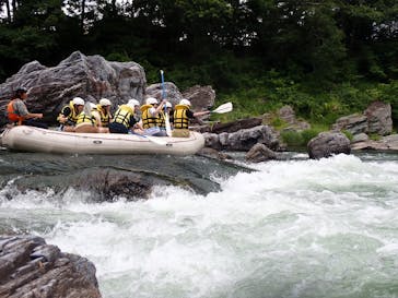 アムスハウス＆フレンズに投稿された画像（2025/6/25）