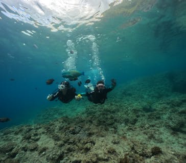 武藤潜水に投稿された画像（2025/6/25）