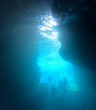 青の洞窟専門店　沖縄ダイビングショップ和に投稿された画像（2025/6/25）