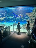 サンシャイン水族館に投稿された画像（2025/6/25）