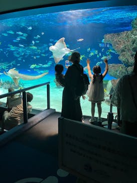 サンシャイン水族館に投稿された画像（2025/6/25）
