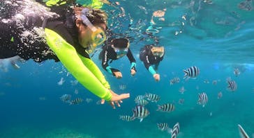 武藤潜水に投稿された画像（2025/6/25）