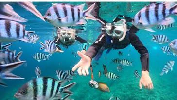 武藤潜水に投稿された画像（2025/6/25）