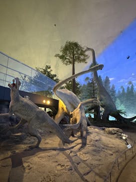 福井県立恐竜博物館に投稿された画像（2025/6/25）