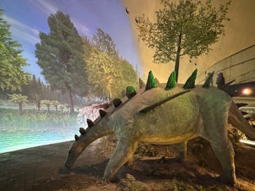 福井県立恐竜博物館に投稿された画像（2025/6/25）