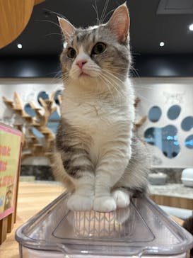 いぬカフェRio イオンモール常滑店に投稿された画像（2025/6/25）