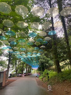 ムーミンバレーパークに投稿された画像（2025/6/25）