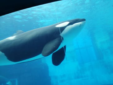 名古屋港水族館に投稿された画像（2025/6/25）