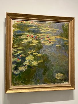 モネ 睡蓮のとき（豊田会場）に投稿された画像（2025/6/25）