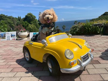 ニューヨークランプミュージアム＆フラワーガーデンに投稿された画像（2025/6/25）