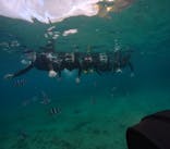 武藤潜水に投稿された画像（2025/6/25）