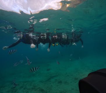 武藤潜水に投稿された画像（2025/6/25）