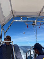 マリンショップ マーメイドに投稿された画像（2025/6/25）