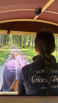 ノーザンホースパークに投稿された画像（2025/6/25）