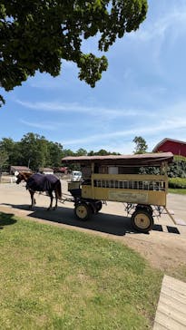 ノーザンホースパークに投稿された画像（2025/6/25）