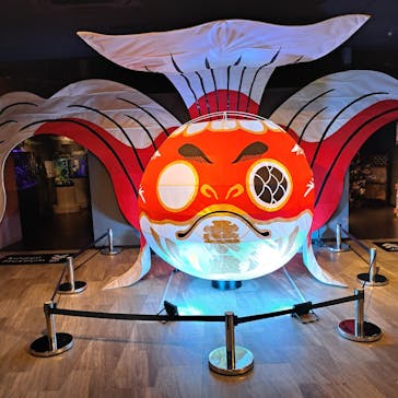 NARA KINGYO MUSEUMに投稿された画像（2025/6/25）