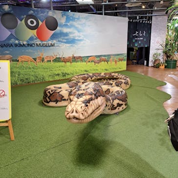 NARA KINGYO MUSEUMに投稿された画像（2025/6/25）