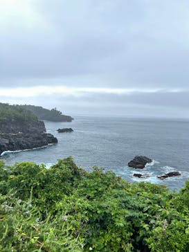 ニューヨークランプミュージアム＆フラワーガーデンに投稿された画像（2025/6/25）