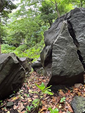 ニューヨークランプミュージアム＆フラワーガーデンに投稿された画像（2025/6/25）