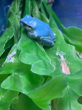 ゼロ距離水族館 伊勢シーパラダイスに投稿された画像（2025/6/25）