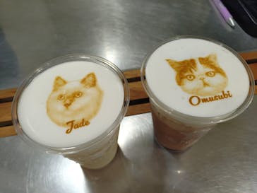 Cat Café MOFF イオンモールナゴヤドーム前店に投稿された画像（2025/6/25）