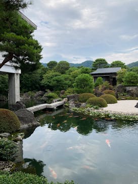 足立美術館に投稿された画像（2025/6/25）