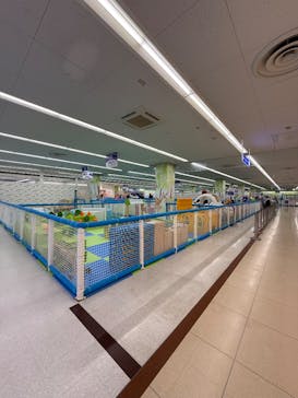 キッズランドUS 群馬渋川店に投稿された画像（2025/6/25）