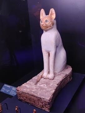 ACN ラムセス大王展 ファラオたちの黄金に投稿された画像（2025/6/25）