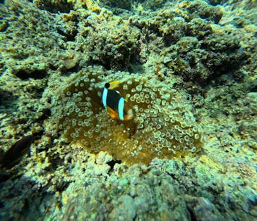 武藤潜水に投稿された画像（2025/6/26）