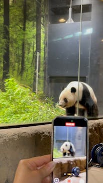 恩賜上野動物園に投稿された画像（2025/6/26）