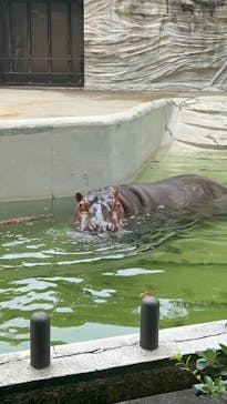 恩賜上野動物園に投稿された画像（2025/6/26）