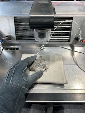 福井県立恐竜博物館に投稿された画像（2025/6/26）