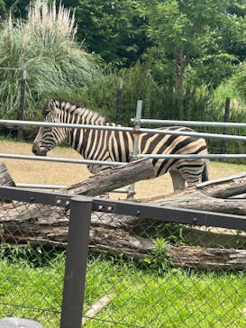 千葉市動物公園に投稿された画像（2025/6/26）