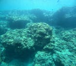 沖縄マリンサービス碧に投稿された画像（2025/6/26）