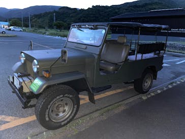 奄美ナイトツアーサービスに投稿された画像（2025/6/26）