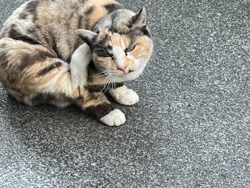 IMMERSIVE JOURNEYに投稿された画像（2025/6/26）