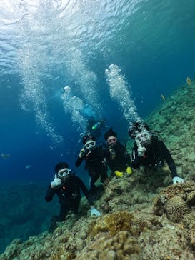 武藤潜水に投稿された画像（2025/6/26）